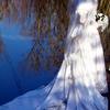 young bride. Gown with long train.